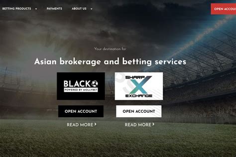 asian bookmaker broker